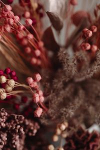 The Delicate Beauty of Dried Pink Flax -Dried and Preserved Flowers - Home Interior Decor
