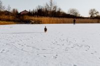 Man and his dog in middle of frozen lake