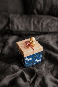Christmas gifts for a cute little dog