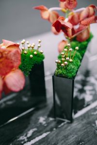 Kaboompics - Miniature ornamental plants in rectangular boxes