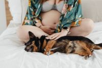 Kaboompics - Pregnant woman petting a small black dog