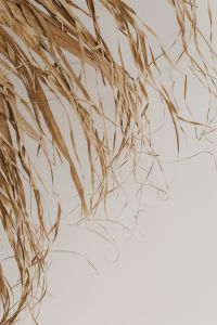 Kaboompics - A detailed shot of textured dried leaves intricately woven to form a decorative organic wall hanging