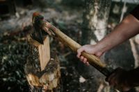 Kaboompics - Chopping wood in the forest