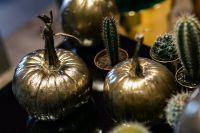 Golden ornamental pumpkins with cactuses