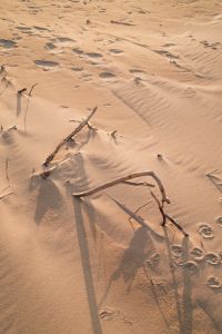 Kaboompics - Coastal Elements: Sand Patterns and Rock Backgrounds