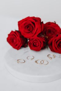 Kaboompics - Red roses and gold rings on white marble