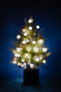A blurred Christmas tree on a navy blue background