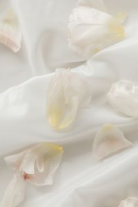 Floral Compositions - Backgrounds - Wallpapers - White Fabric