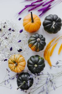 Small yellow and dark green pumpkins on a white background