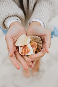 Kaboompics - A young woman on the beach is holding seashells