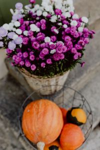Pumpkins and flowers as decoration on stairs