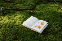 Kaboompics - An open book with dried leaves lies on the moss in the forest
