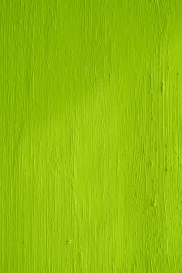 Kaboompics - Brat Green Aesthetic: Stylish Free Stock Images