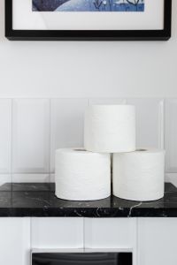 Kaboompics - Toilet Paper