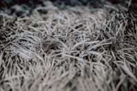 Kaboompics - Grey rug texture closeup