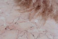 Kaboompics - Pink marble background and pampas grass