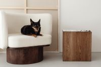 Wooden side table with marble top - bright ceramic vases - upholstered armchair - dog - pet - animal