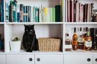 Kaboompics - Black cat by a wicker basket on a white bookcase shelf