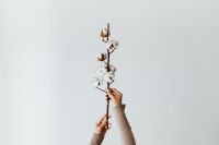Kaboompics - A young girl holds a sprig of cotton