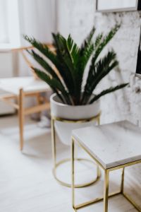 Kaboompics - Living Room With Scandi Interior Design, Un'common Marble Table