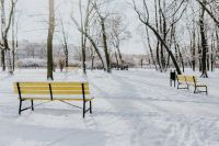 Kaboompics - Yellow benches a wintery park