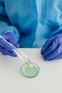 Female scientist - work - desk - Petri dish