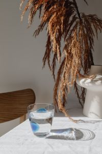 Kaboompics - Glass of water - dried grass