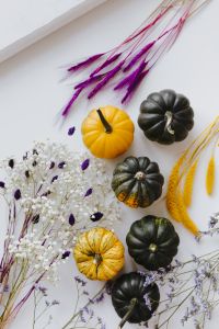 Small yellow and dark green pumpkins on a white background