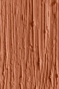 Kaboompics - PANTONE 13-1023 Peach Fuzz - Color of the Year 2024 Wallpapers and Backgrounds for Free Download
