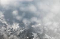 Kaboompics - Close-up of snowflakes