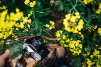 Kaboompics - Woman with vintage camera in the field of blooming rapes