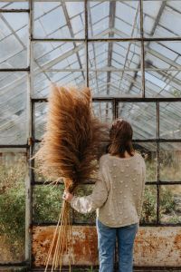 Kaboompics - The woman is holding the pampas grass