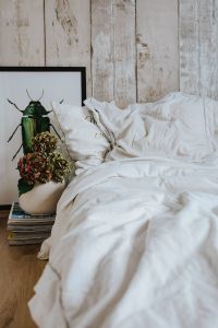 Kaboompics - White bed sheets with a picture of a green beetle and a pot plant on a stack of magazines