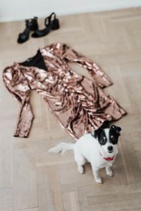 Kaboompics - colored sequin dresses and boots lie on a wooden parquet, White Dog