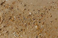 Kaboompics - Sand beach background with sea shells & pebbles - many round small stones