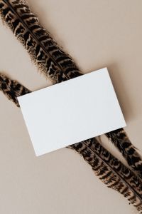 Kaboompics - Blank card & feather on beige background