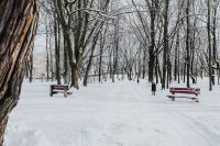 Kaboompics - Wintery Park