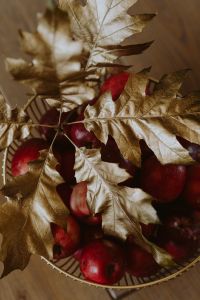 Kaboompics - Red apples and golden oak leaves
