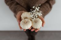 Kaboompics - Mini white pumpkins