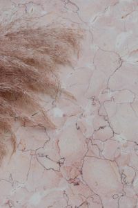 Pink marble background and pampas grass
