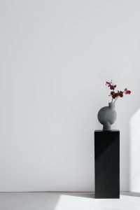 Kaboompics - Concept photos - flowers - vase - minimalist interior