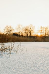 Sunset over a frozen lake - background - wallpaper