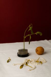 Kaboompics - Moody Still Life With Vintage Elegance - Surreal Objects and Organic Forms