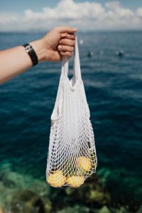 Net String Shopping Bag with lemons