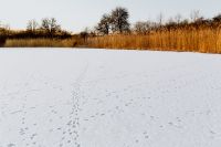 In middle of frozen lake