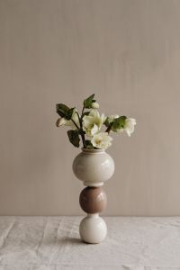 Kaboompics - Flowers in small ceramic vases - beige neutral aesthetics