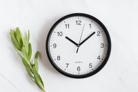 Kaboompics - Clock & Twig on White Background