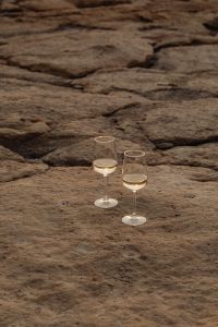 Kaboompics - Coastal Elegance - White Wine on the Rocky Shores of Malta
