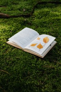 An open book with dried leaves lies on the moss in the forest