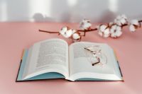 An open book, glasses and a cotton branch on a pink background